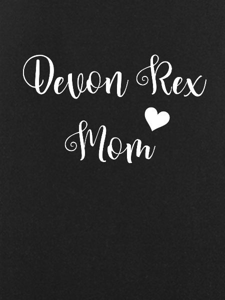 Devon Rex
