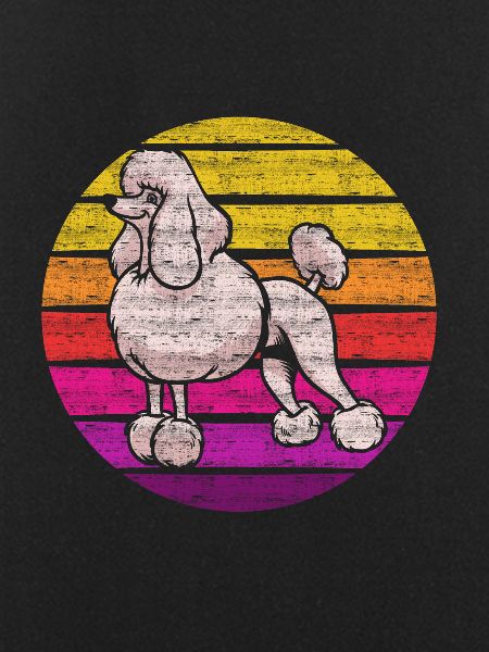 poodle
