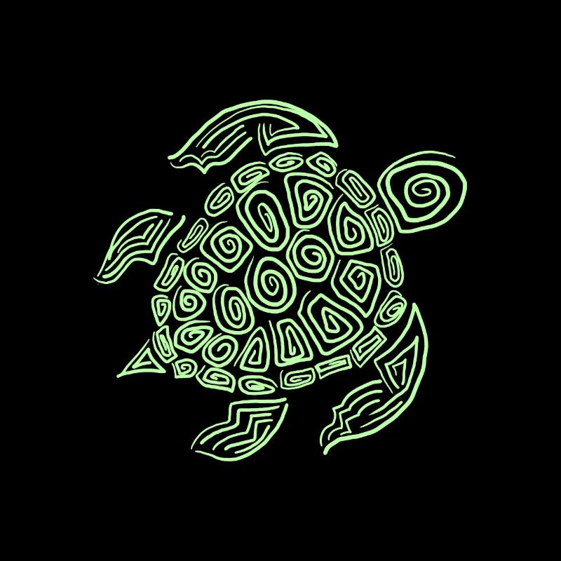Turtle turtle shell animal