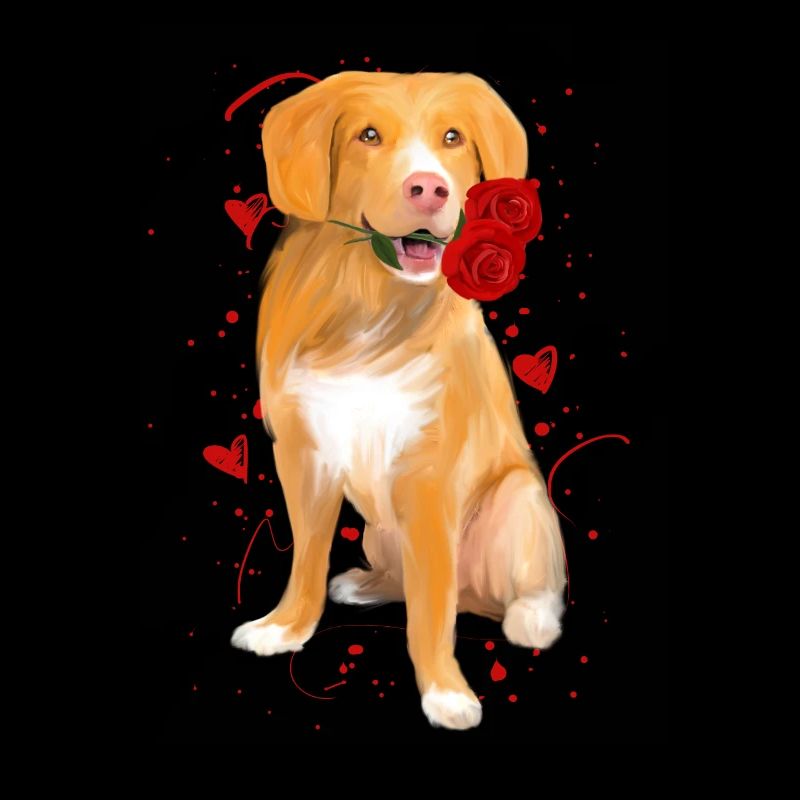 Nova Scotia Duck Tolling Retriever with Rose