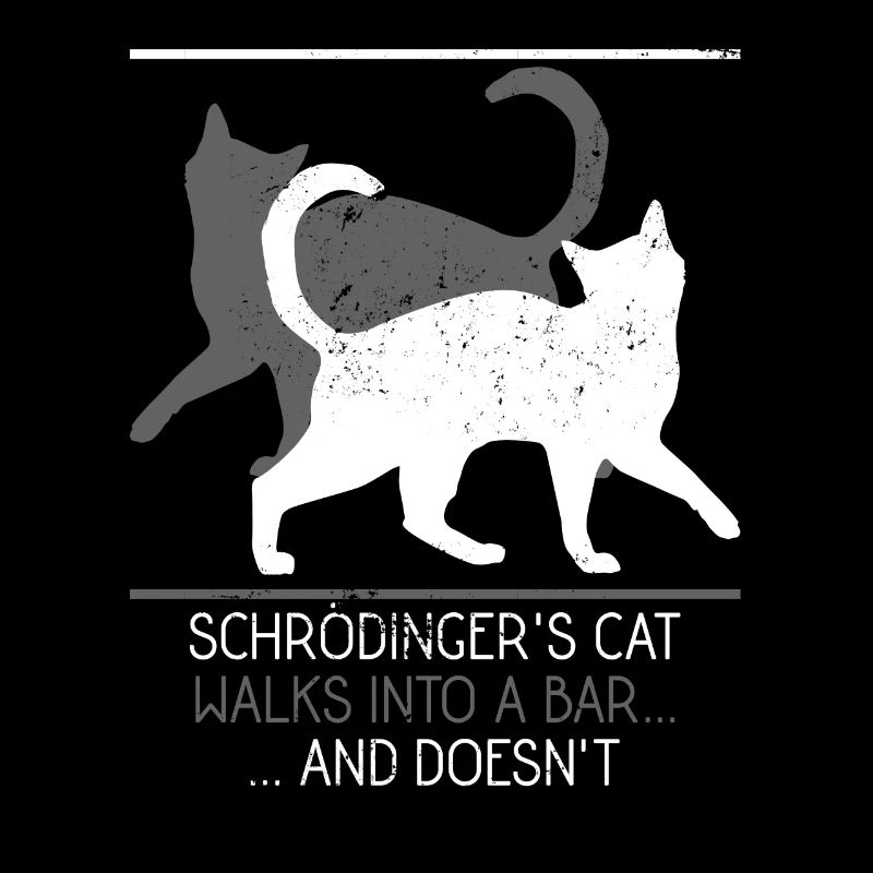 Chat de physique