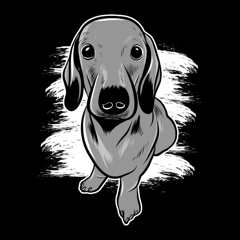 Teckel chien