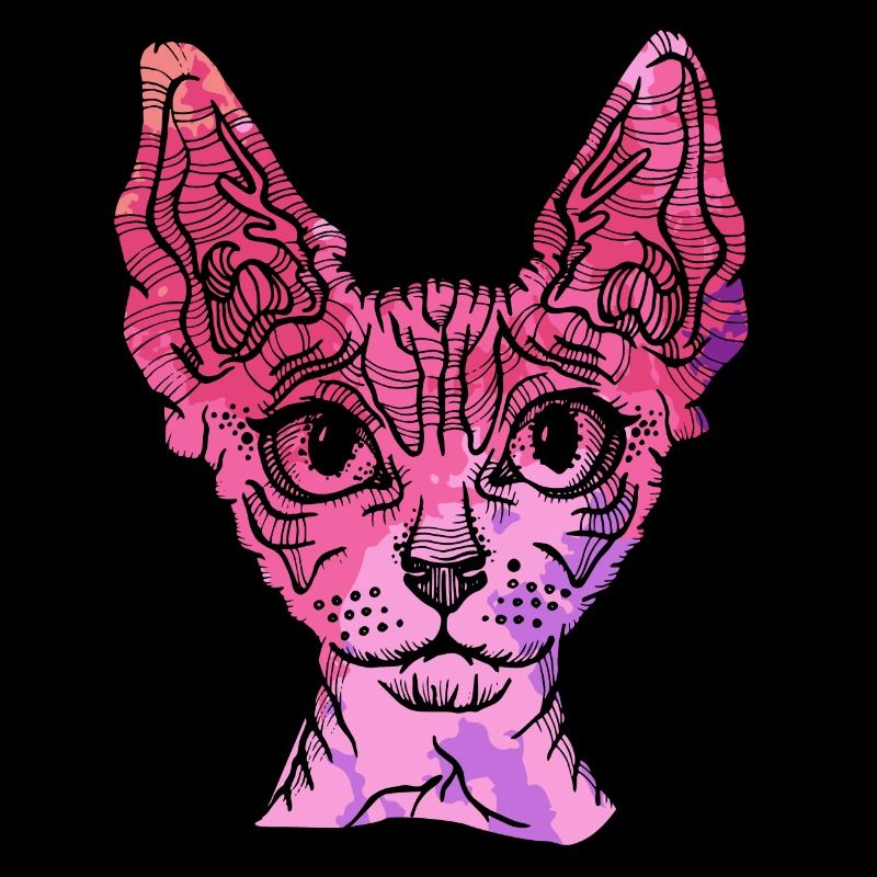 Sphynx Cat Sphynx Cat Colorful