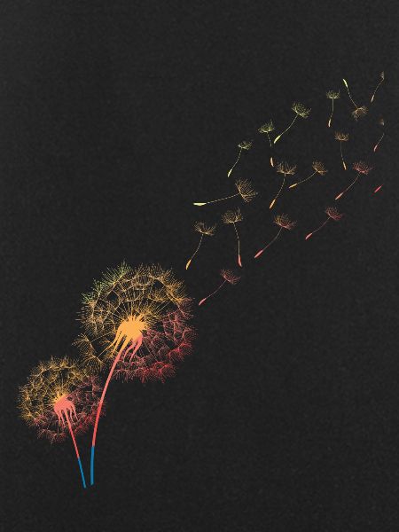 Dandelion, of grass, dandelion