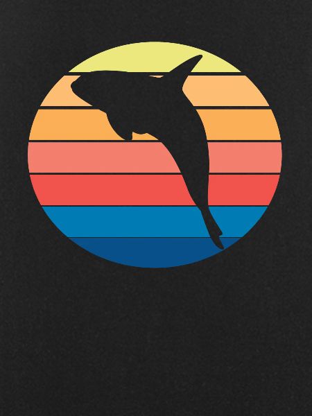 Killer Whale Orca