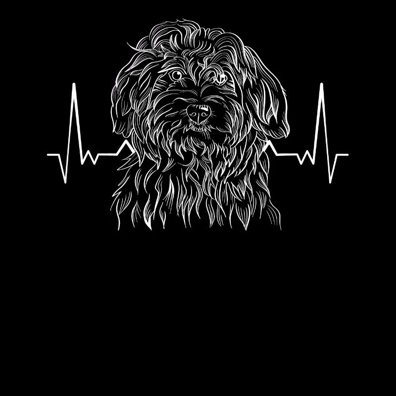 Havanese Havanese