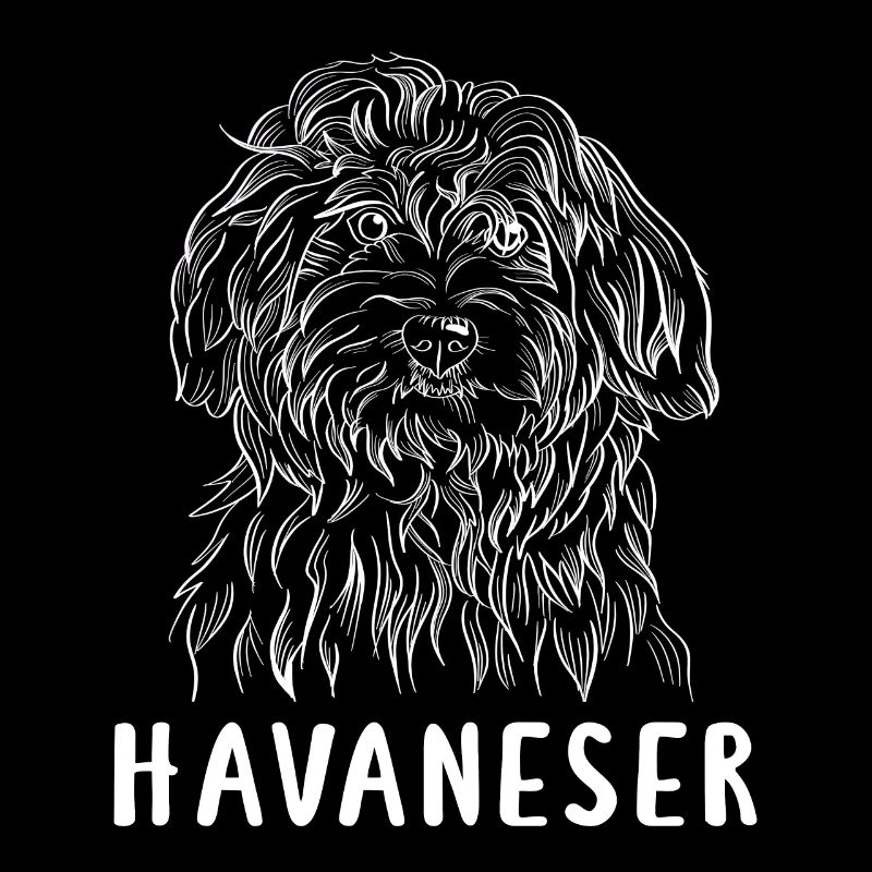 Havanese white
