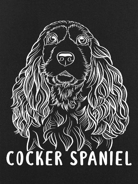 cocker spaniel dog