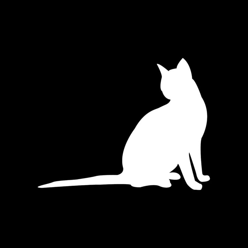 Chat blanc