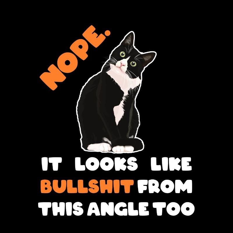 NOPE NE RESSEMBLE PAS A BULLSHIT DE CET ANGLE AUSSI