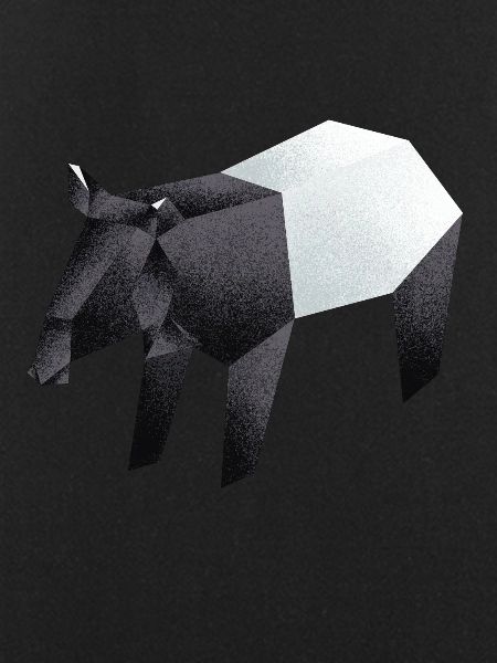 Tapir
