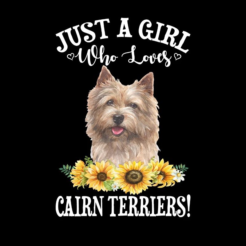 Cairn-Terrier