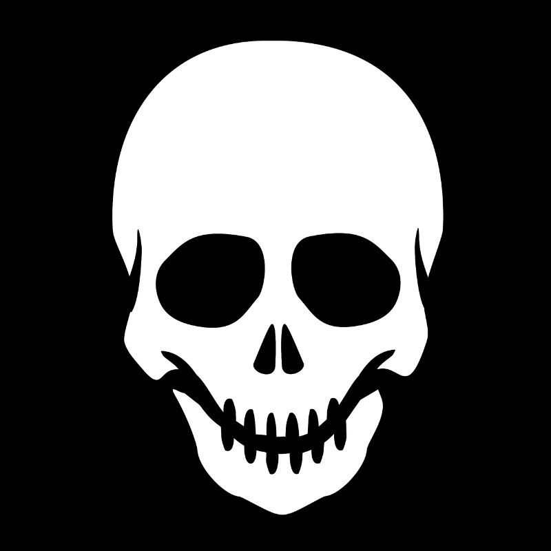 Skeleton Head Skull Skeleton