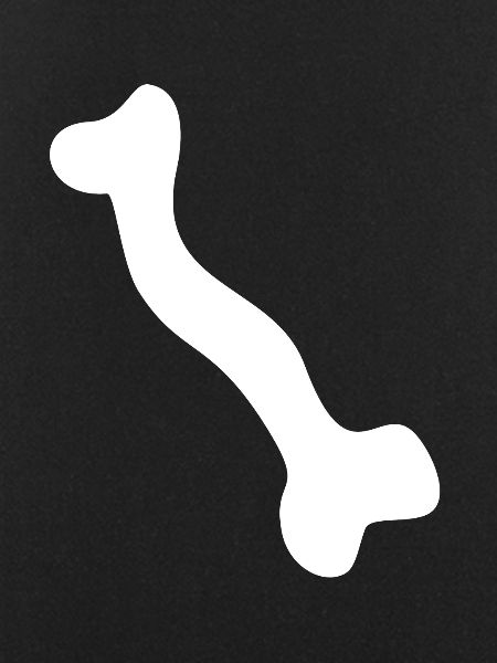 Bone skeleton