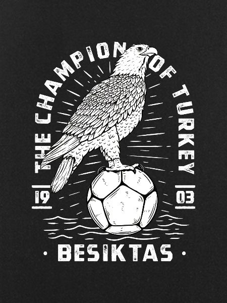 Besiktas / Eagles / Istanbul