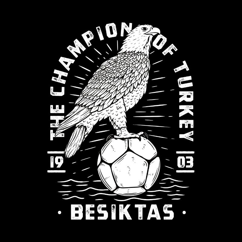 Besiktas / Eagles / Istanbul