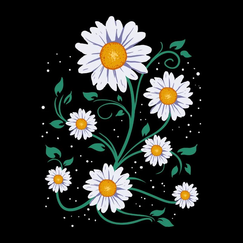 Cute Daisy Summer Daisies Spring Time Flowers
