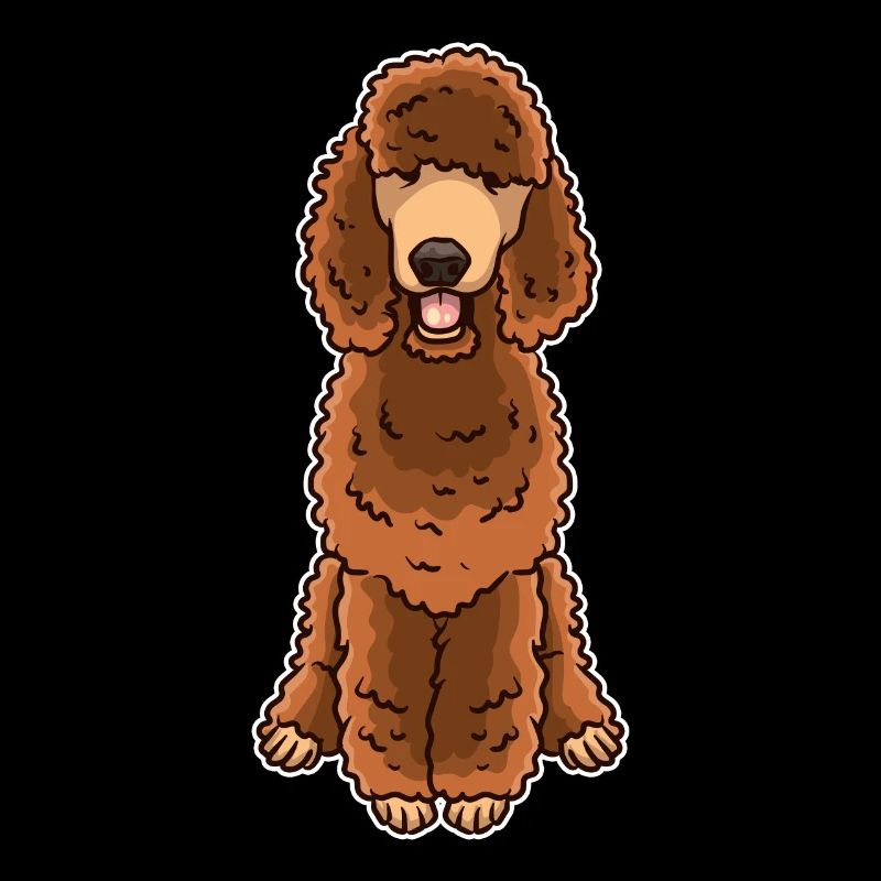 Caniche brun