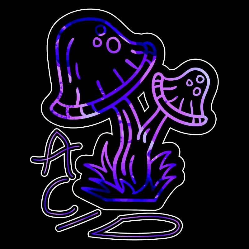 Acide Rave Techno Festival EDM Shuffle Goa