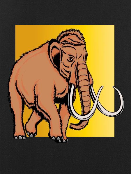 Mammut