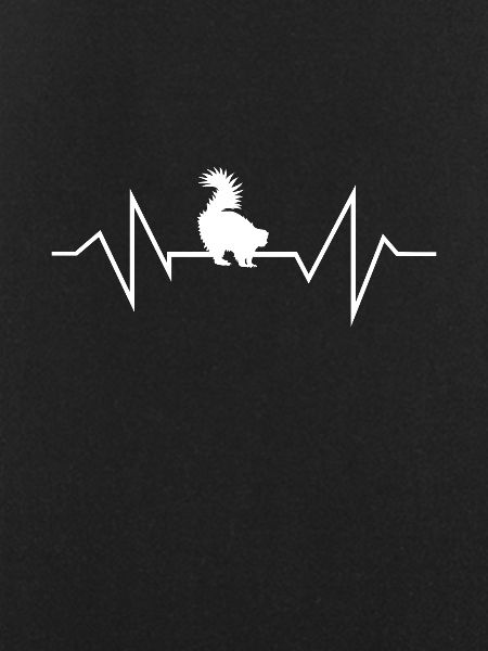 Skunk Heartbeat Gift Skunks