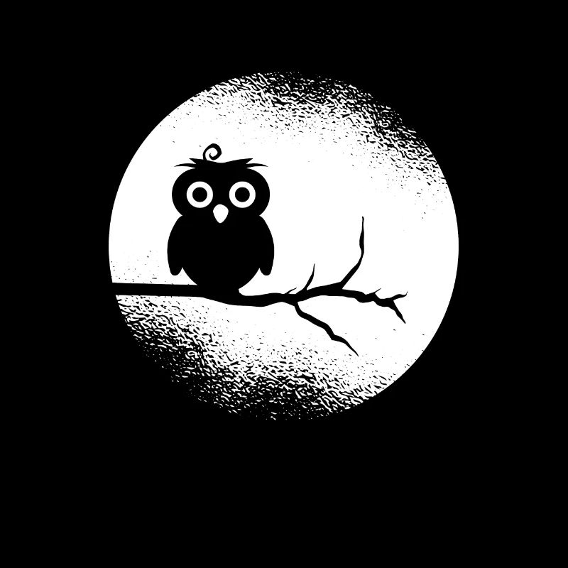Eule Waldbewohner Eulen Vollmond
