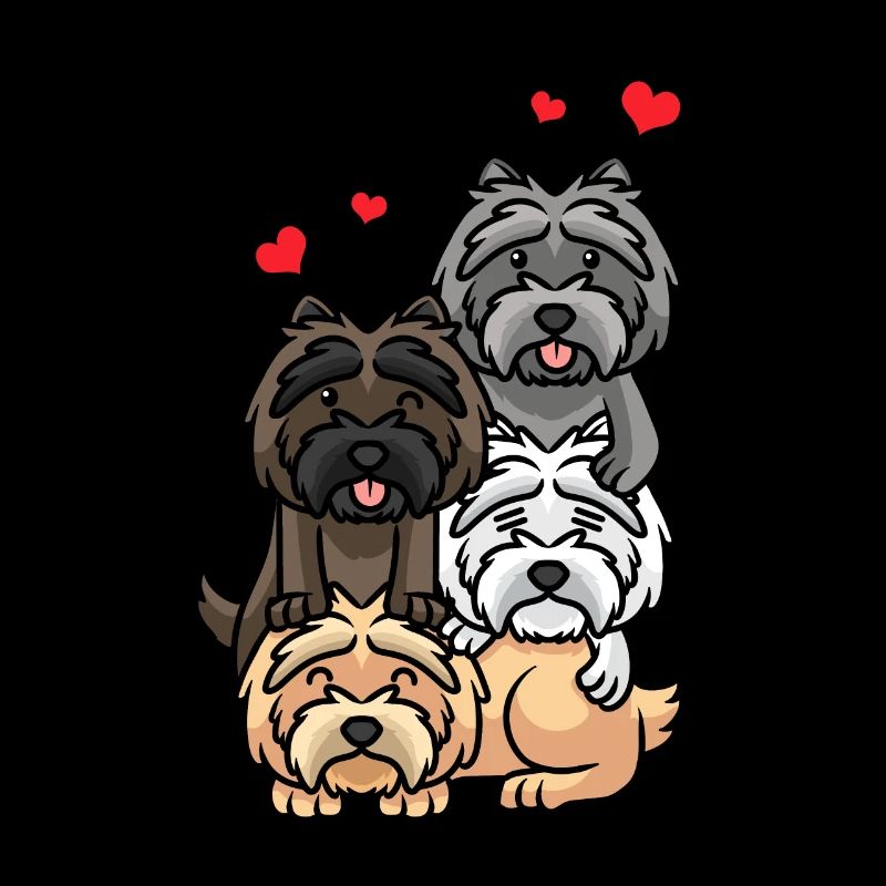 Cairn Terrier chien