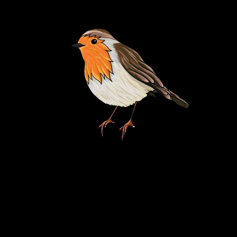 Rouge-gorge Oiseau de l'année Rouge-gorge