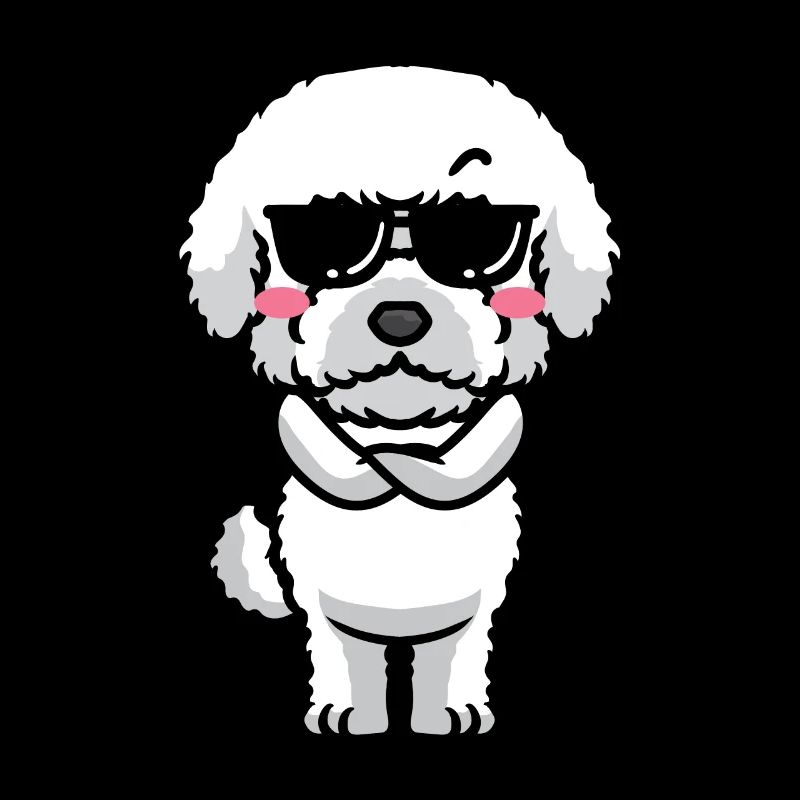 Bichon Frisé Chien Bouclé Bichon