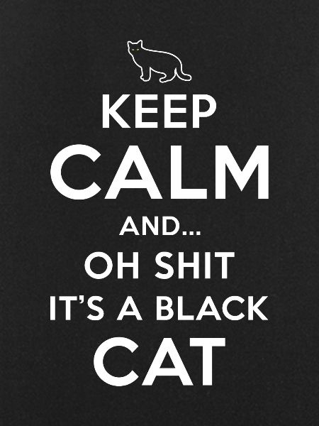 Superstition Black Cat