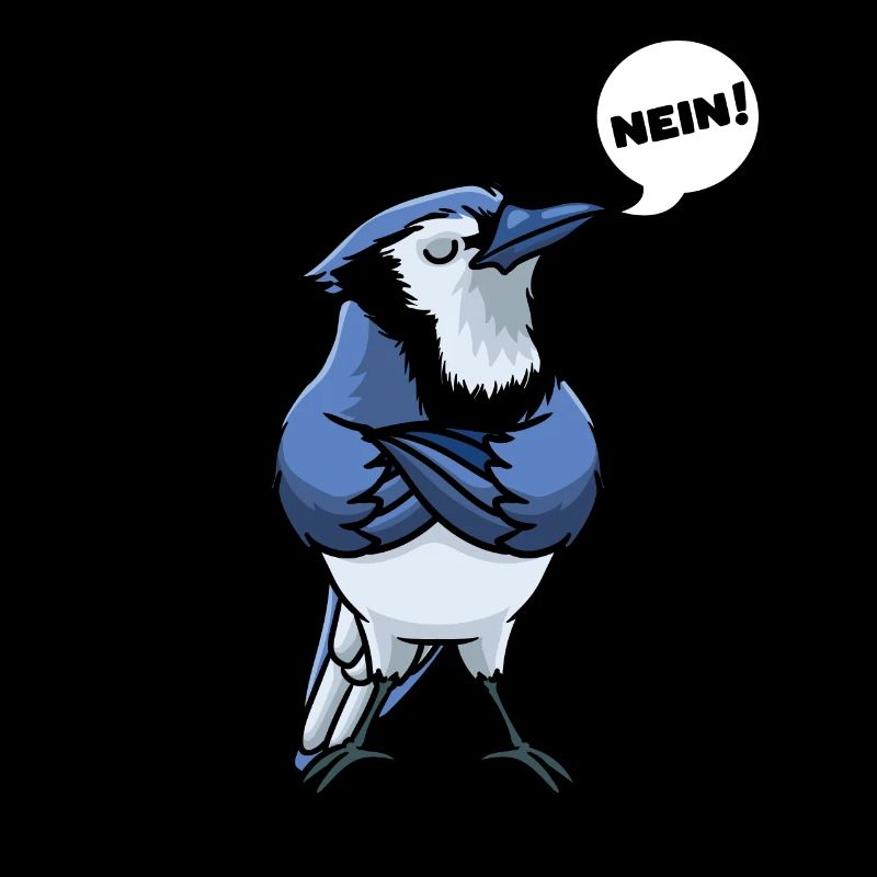 Blue Jay Bird