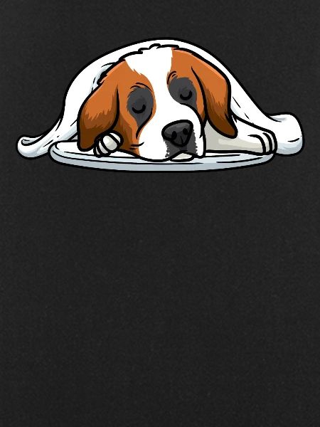 Bernhardiner Schlafender Hund