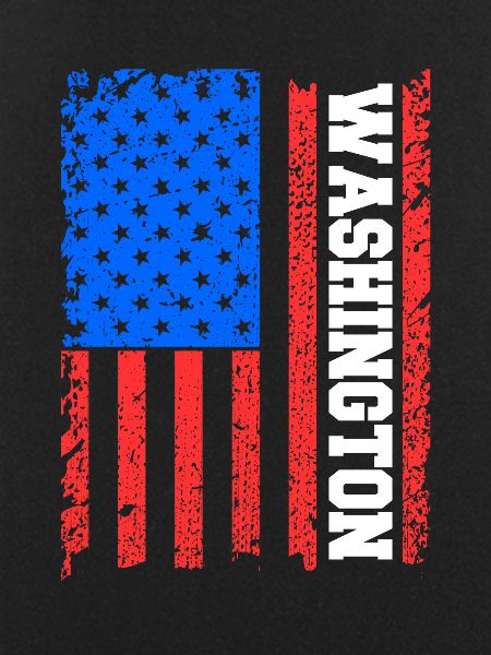 Washington skyline