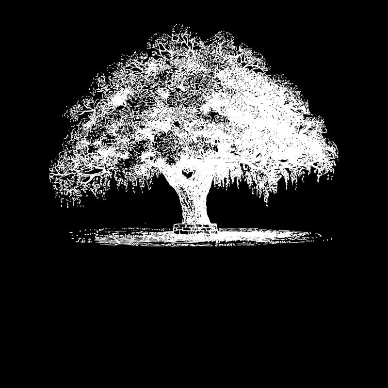 Arbre