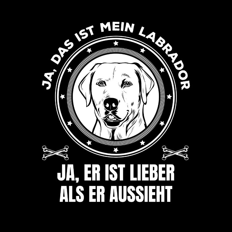 Labrador ist lieber als er aussieht