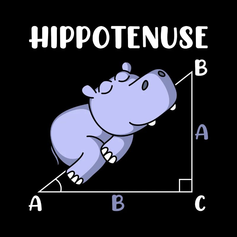 Hippotenuse fun math math