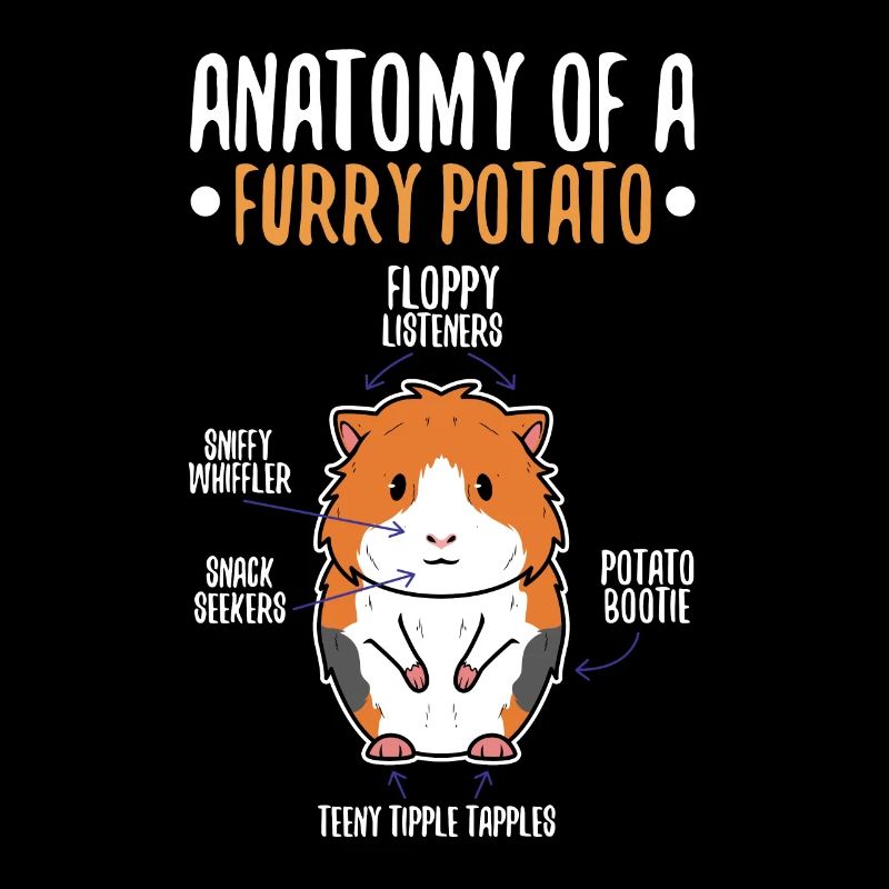 Anatomie d’une pomme de terre à fourrure