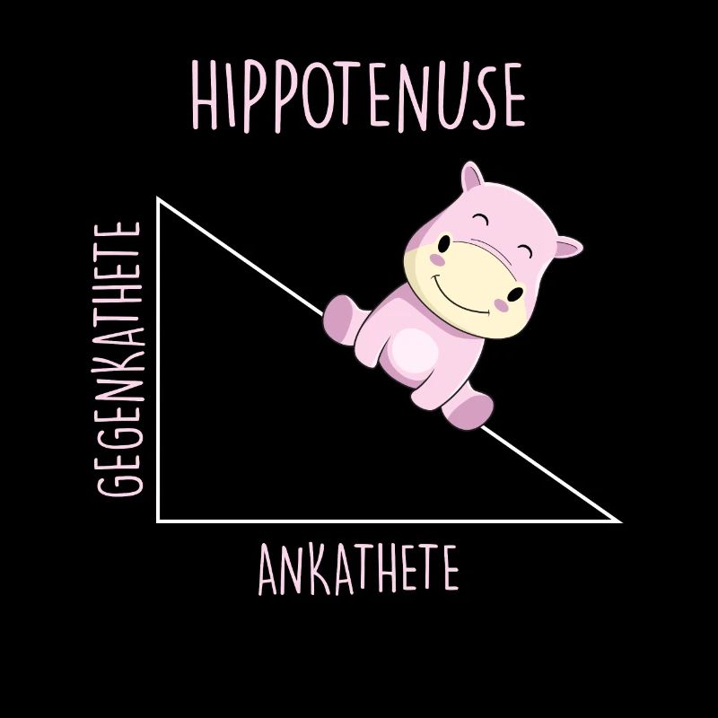 Hippotenuse Mathelehrer