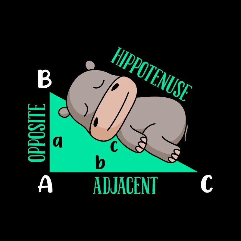 Lutiges Mathe Design Hipotenuse