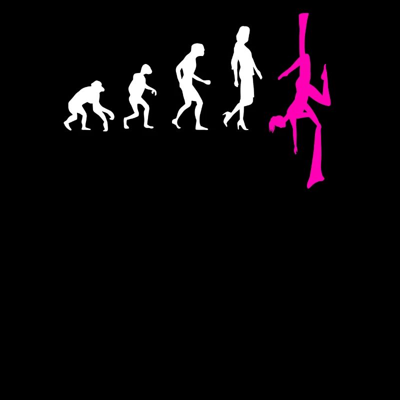 Aerial Silk Evolution - Aerial Circus