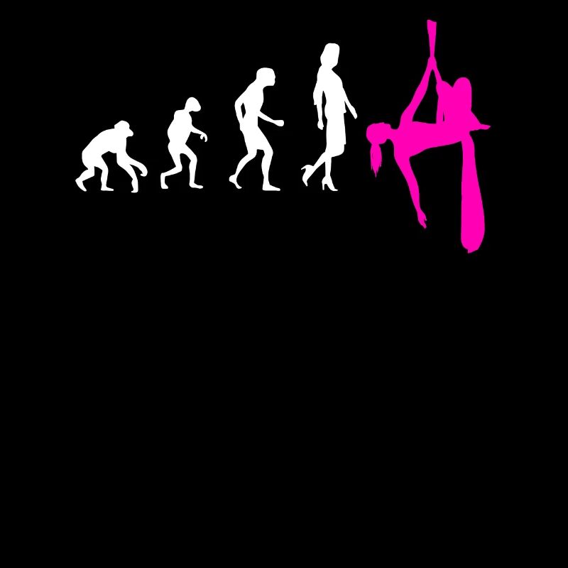 Aerial Silk Evolution - Aerial Circus