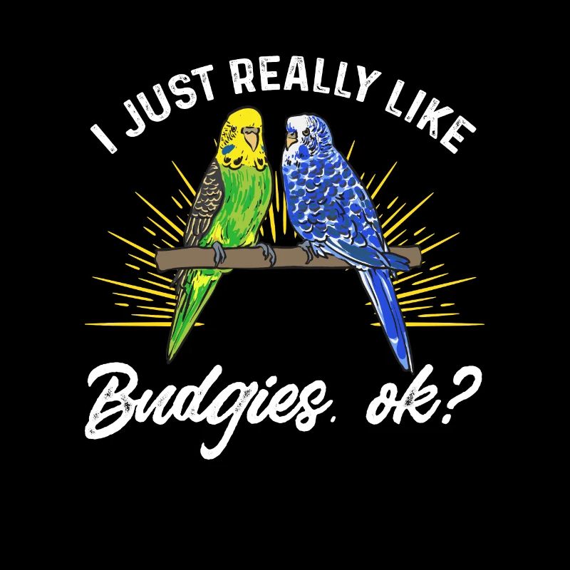 Budgerigar Perruche Oiseau Cadeau pour animaux de compagnie