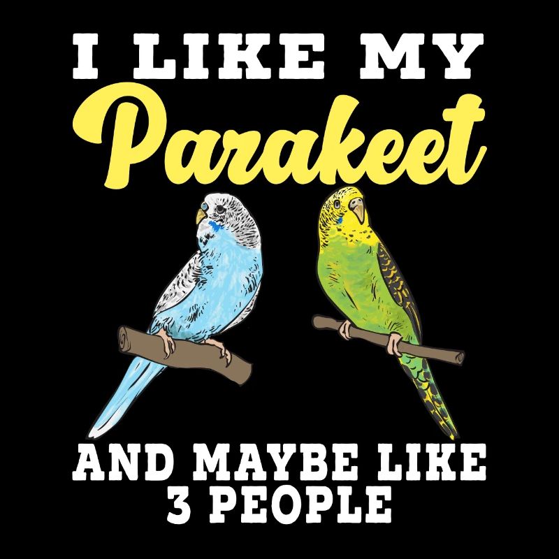 Budgerigar Perruche Oiseau Cadeau pour animaux de compagnie