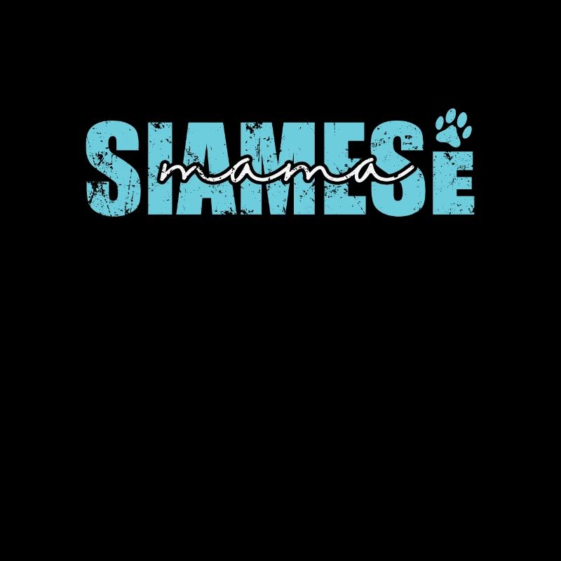 Siamese Mama Cat Pet Cat Breed