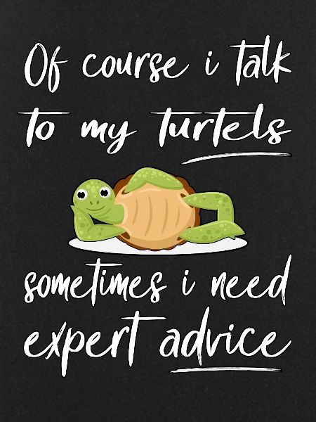 Funny Turtle Design Pet