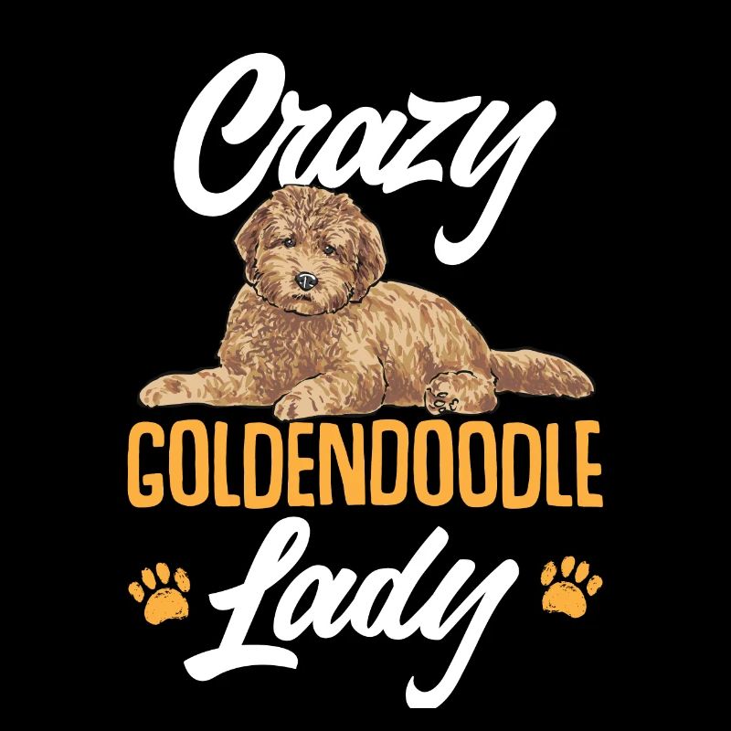 Goldendoodle Doodle Hund