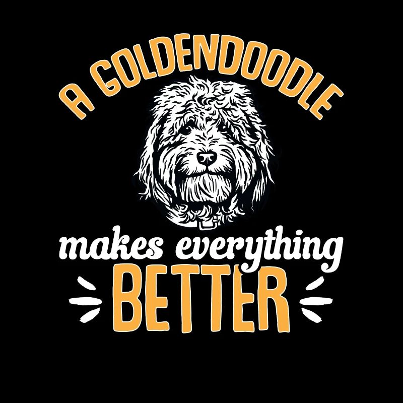 Goldendoodle Doodle Chien