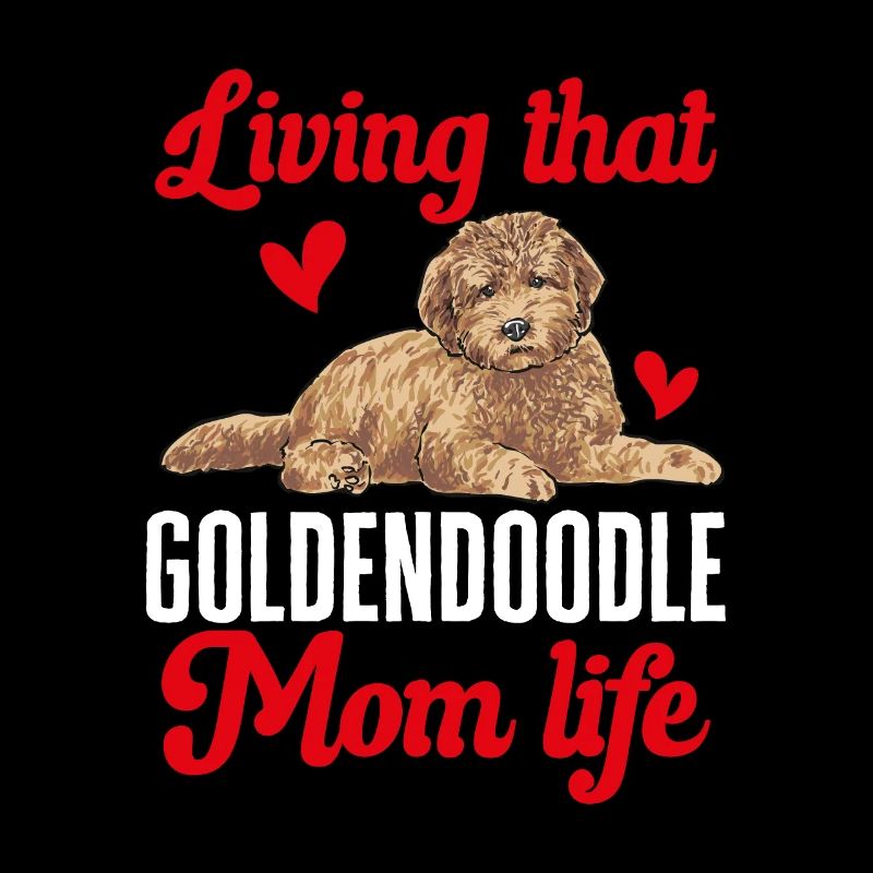 Goldendoodle Doodle Chien