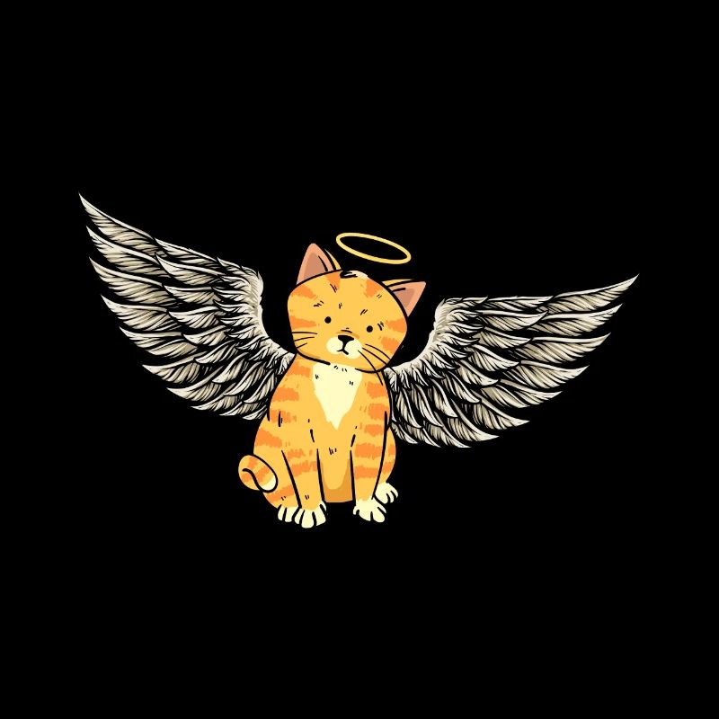 Ange Chat