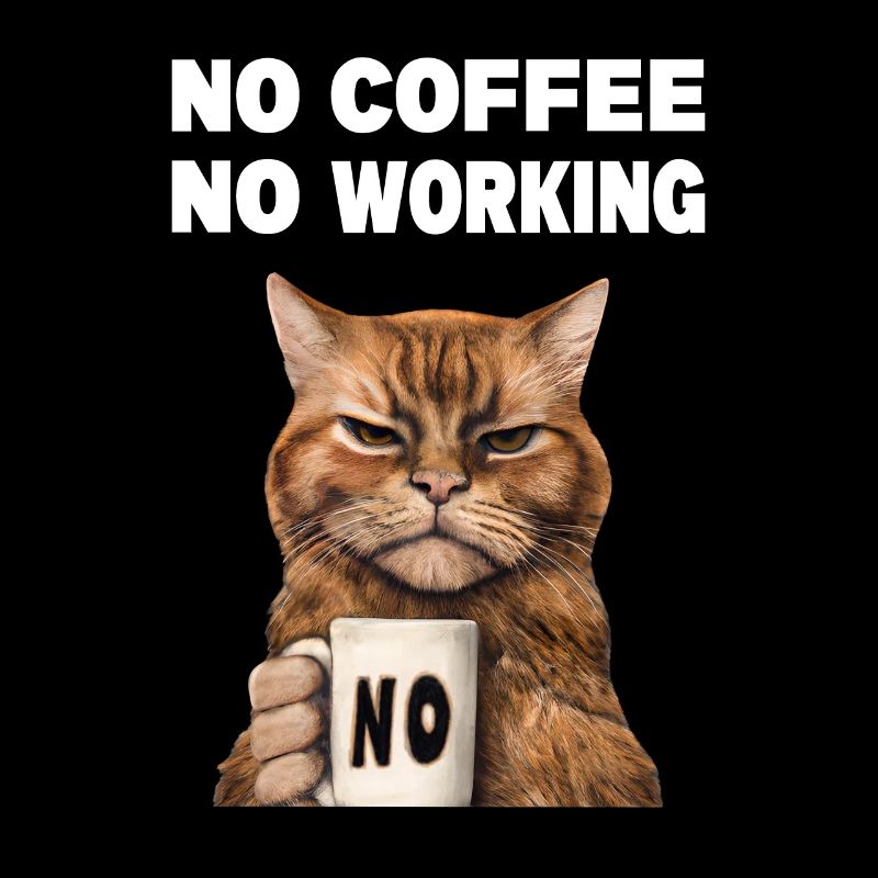 no coffee no working. Grumpy Funny Cat
